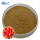 Free Sample Rosa Canina Powder Rose Hip Extract