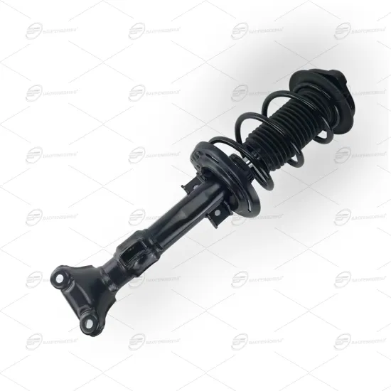Front Shock Absorbers Assembly with Spring for Mercedes Benz C-Class W204/S204/C204/W207