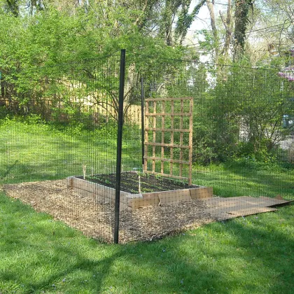 anti bird net/bird control netting/pigeon protection netting