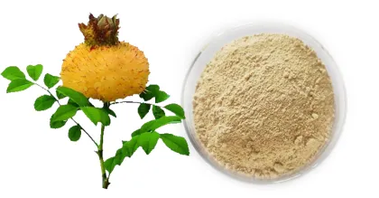 Prickly pear fruit powder bulk raw material