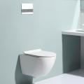 Wash basin sink toilet in bathroom wall hung