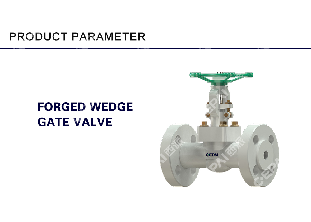 Forged Wedge Gate Valve012
