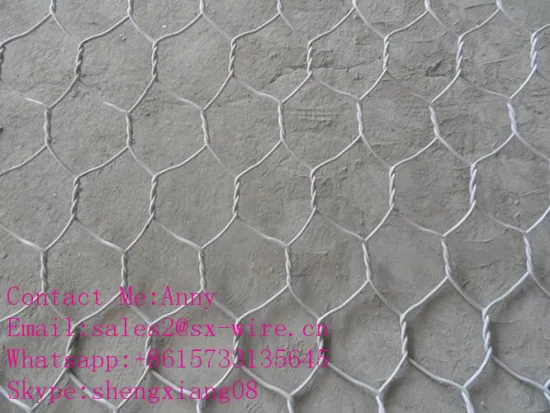 TUV Rheinland Hot Sale Gabion Mesh/Hexagonal Wire Mesh/PVC Coated Gabion Mesh/Galvanized Wire Mesh