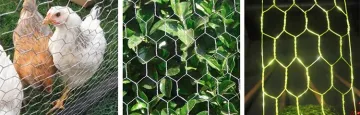Galvanized Hexagonal Mesh for Raising Chicken