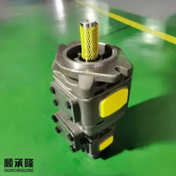 Robust Internal Gear Pump Ensuring Long-Lasting Operation