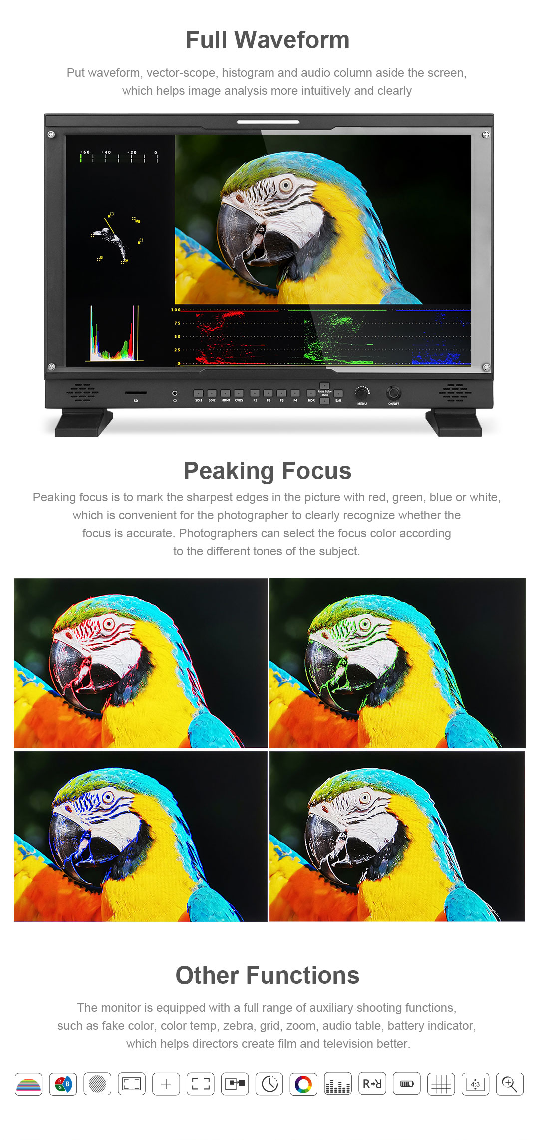 SDI Monitor (10)