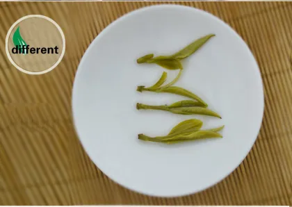 Famous Yellow Tea Huoshan huangya