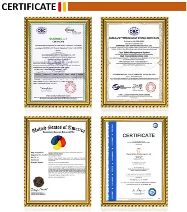 Top Quality Delicious  KOSHER Style Mushrooms Origin