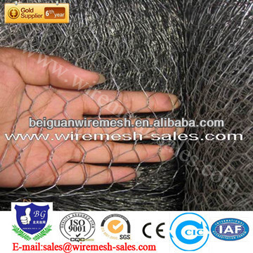 direct manufacturer Galvanized hot-dip hexagonal wire mesh