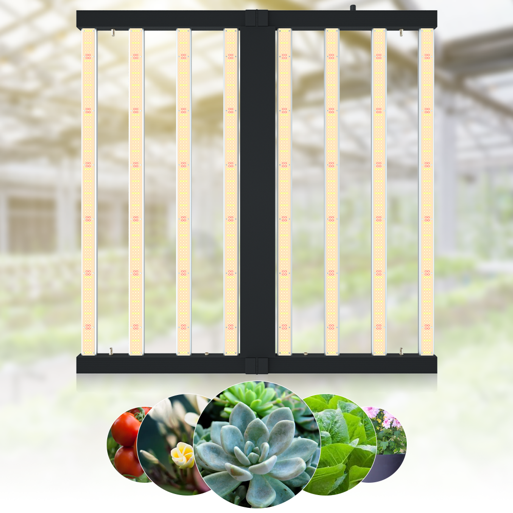 Growing Vegetables Indoors With Led Lights