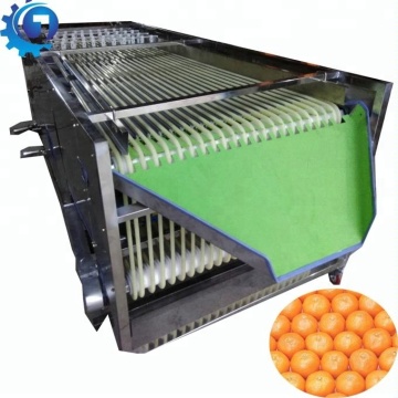 Máquina de clasificación y clasificación de frutas
