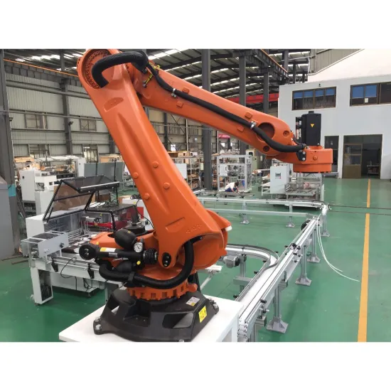 Double Station Simple Type Robotic Palletizer at Good Price