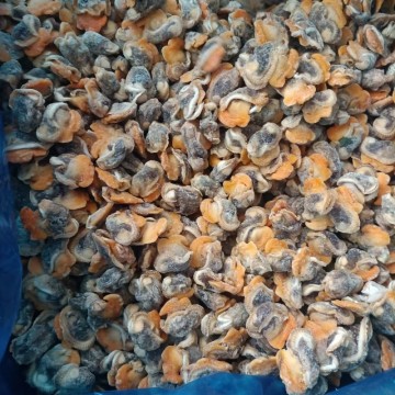 Ark Shell Blood Clam Plump Clam Meat