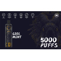 Năng lượng dùng một lần 5000puffs Vape UAE