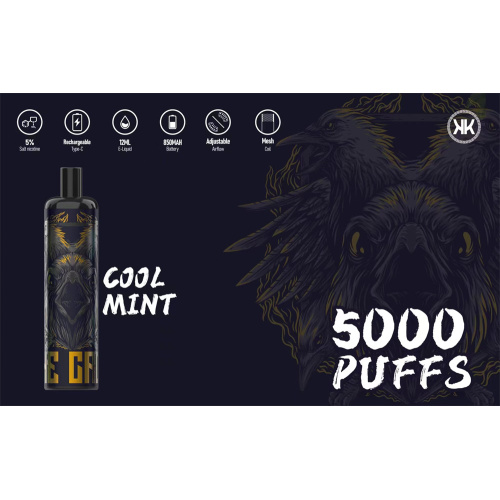 Energy Disposable 5000Puffs Vape UAE