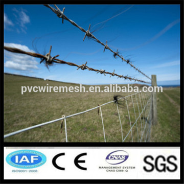 china barb wire wholesal