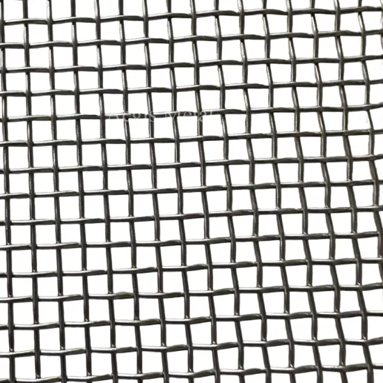 GH3536 GH4169 Iron Chrome Aluminum Alloy Wire Mesh #4 #5 #6 Mesh Fecral Wire Screen