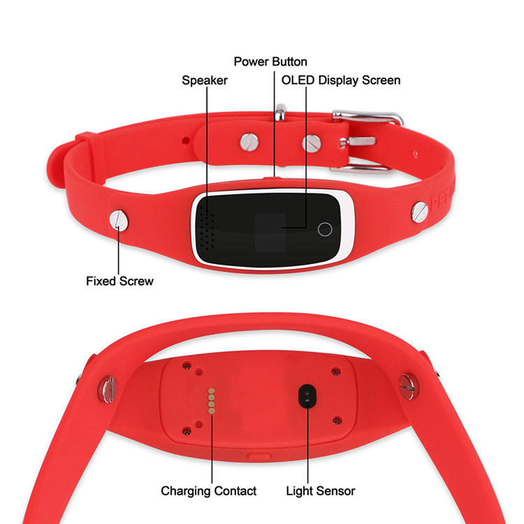 Gps Surveillance For Dogs