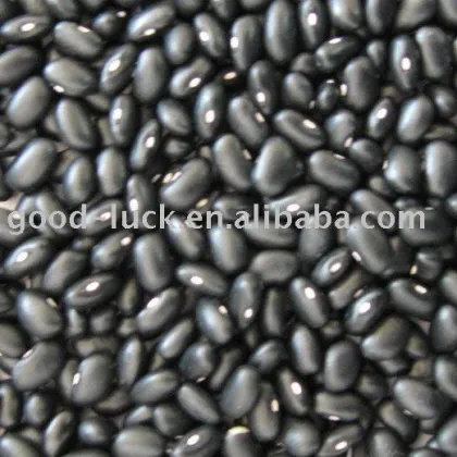 black kidney bean