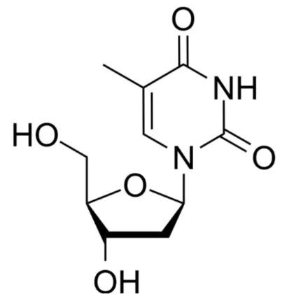 Thymidine CAS No. 50-89-5