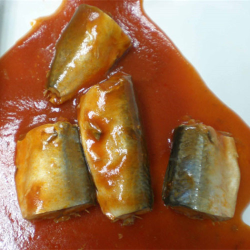 Canned Mackerel Fish In Tomato Sauce Flavors OEM