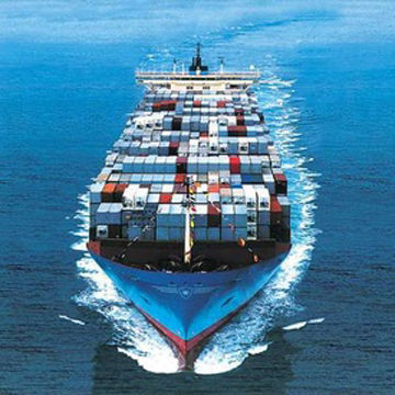 Sea Freight Door-to-Door Service, Custom Clearance