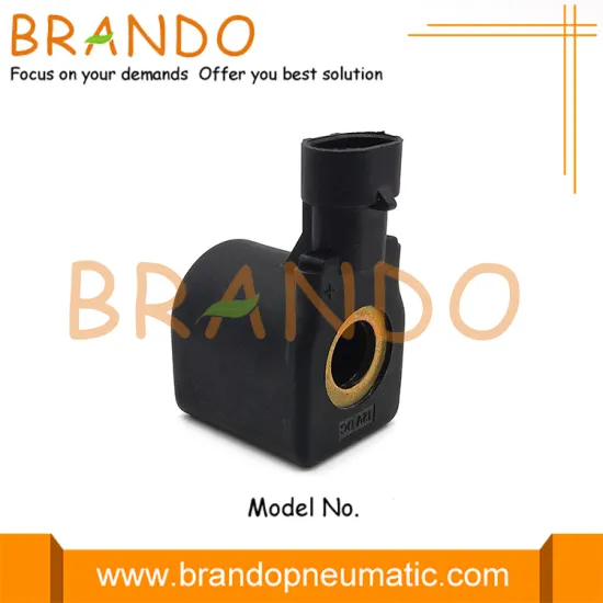 RGJ LPG CNG Electronic Evaporator Reducer Solenoid Coil