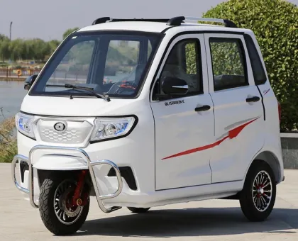 2023 Chang Li Bajaj 3 Wheeler Electric Tricycle with Lithium Battery