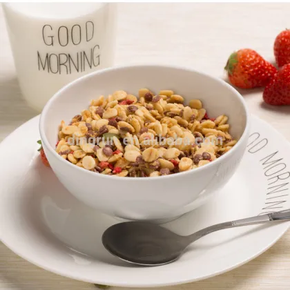 cheerios weetabix corn flakes breakfast cereals processing line