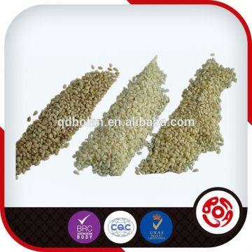 Top Quality Sesame Seeds Producer