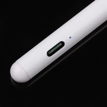 Digital Stylus Pen for Apple iPad