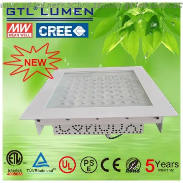 LED canopy light ODM service