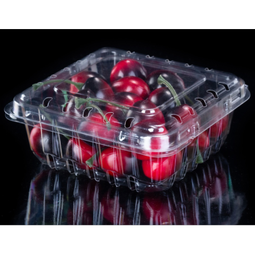 Transparent Plastic Boxes RPET Recycled Plastic Boxes