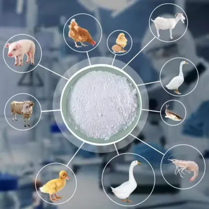 Vitamin B6 Powder Food Feed Grade 99%