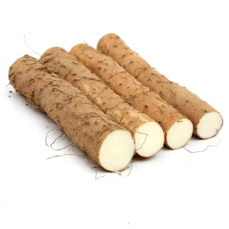 Plant Extract Yam Powder