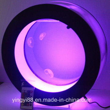 Custom Acrylic Fish Tank with LED Lighting