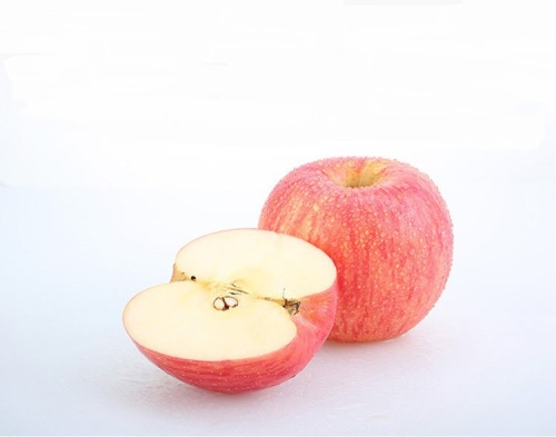 Selected high quality bagged Fresh Fuji Apples