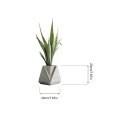 Moderner Stil minimalistischer künstlerischer Betonblüten Pot