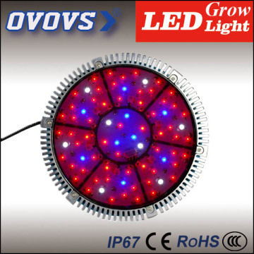 OVOVS full spectrum led decorative plant indoor grow lights bulb for greenhouse
