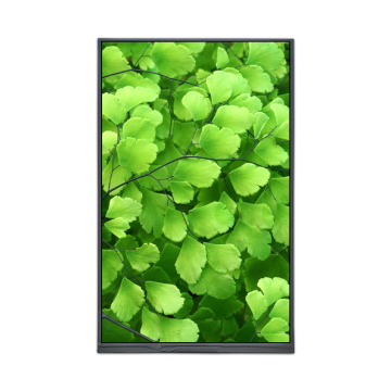 10.1-inch IPS LCD Module with 800x1280 Resolution MIPI Interface