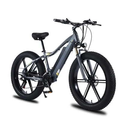 750W Focus E-Bike Bosch Battery Conversion Kit: Enhancing Your Electric Bicycle Experience