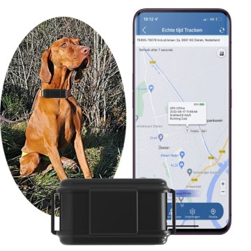 Wholesale GPS Tracking Devices: Real-Time Monitoring of Cows, Sheep, and Pets with the TK919 Multi-Positioning System