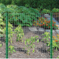 Garden GBW Wire Mesh for Farm Ranch 2ft