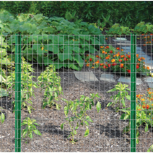 Garden GBW Wire Mesh for Farm Ranch 2ft