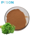 European standard Fenugreek seed Extract powder