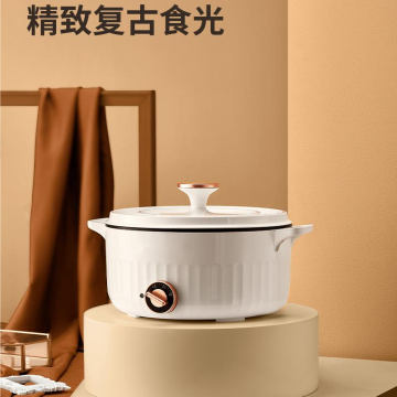 Electric Small Hot Pot Noodle Cooker Steamer