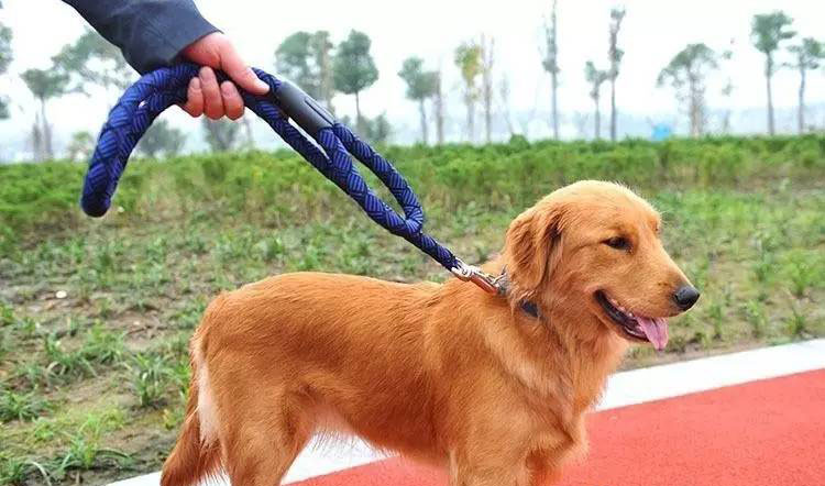 Nylon Braided Rope