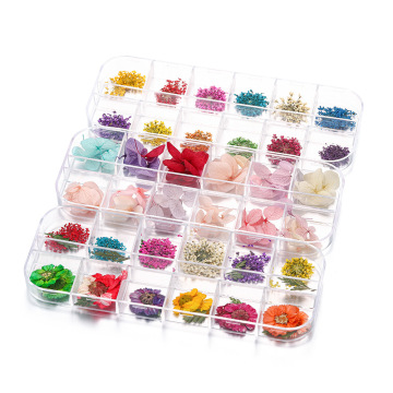 Intodiy mini getrocknetes Blütenmaterial ewiges Blütenblüte DIY Kristall Tropfgelfüllung