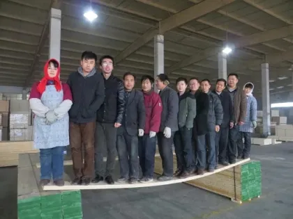 New Zealand Pine LVL Scaffolding Board