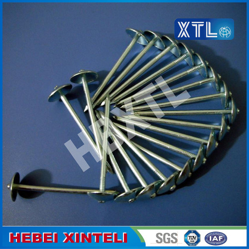 Galvanized Umbrella Roofing Nail With Large Head